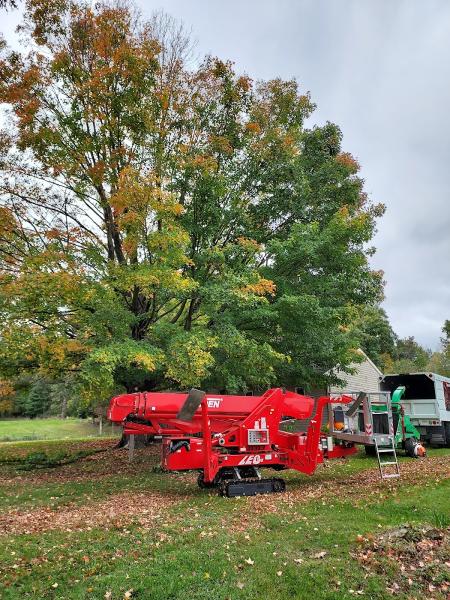 Total Tree Enterprise