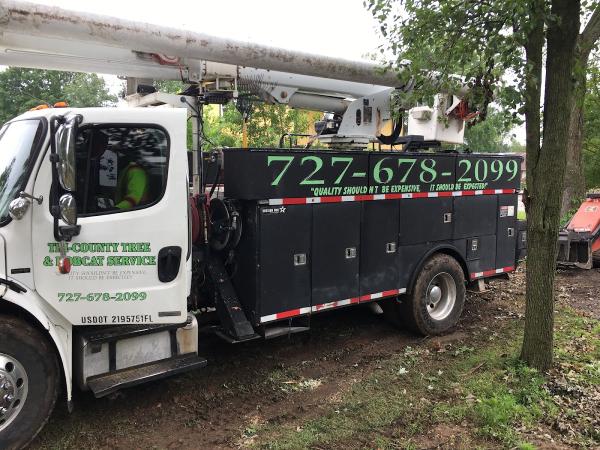 Southern Environmental Group