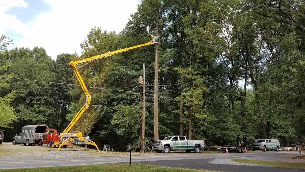 Premier Tree Service Inc.