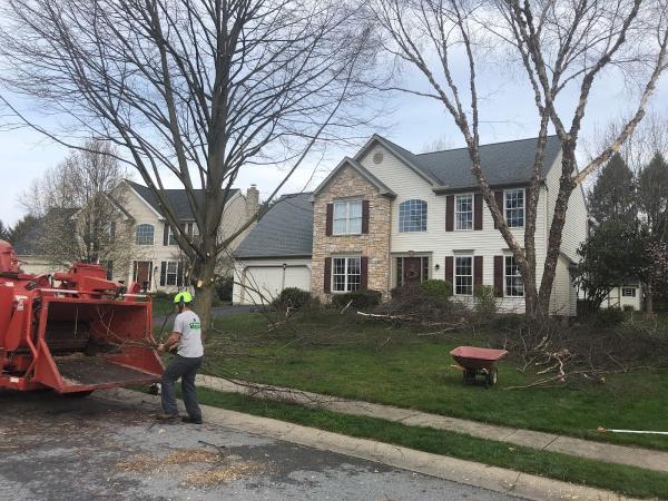 Premier Tree Service Inc.