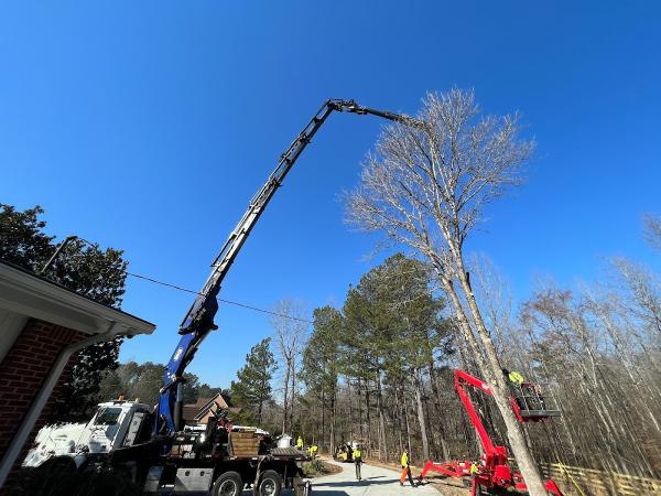 QDS Treeworx