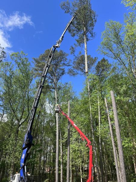 QDS Treeworx