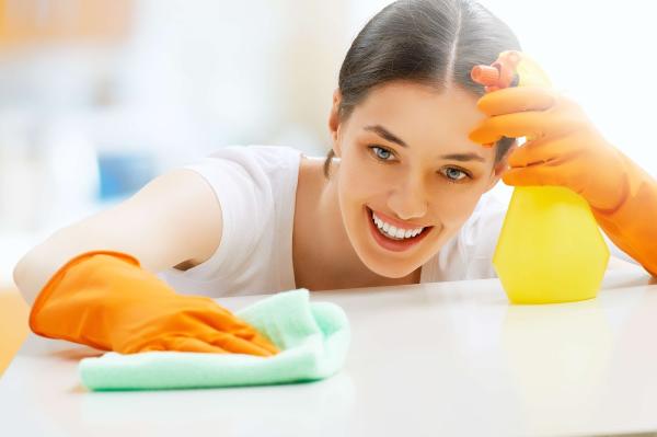 Maid Spotless Cleaning Services