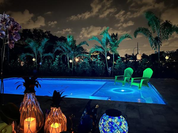 Palm Pool & Spa