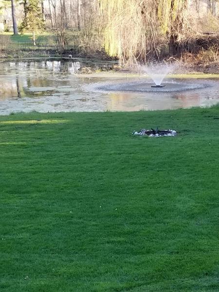 Cox Enterprises Lawn Care Snow