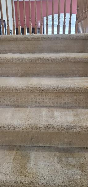 Big Red Carpet Cleaning