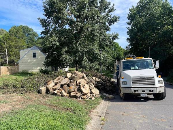 CLT Grapple and Stump Grinding Services