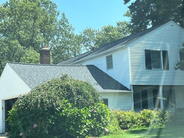 Absolute Roofing and Construction