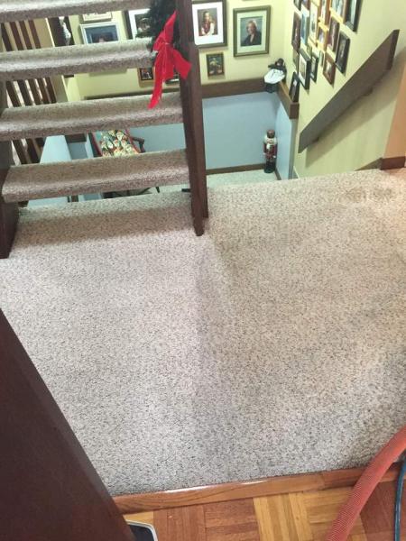 Nu-Life Carpet Care & Auto Detailing