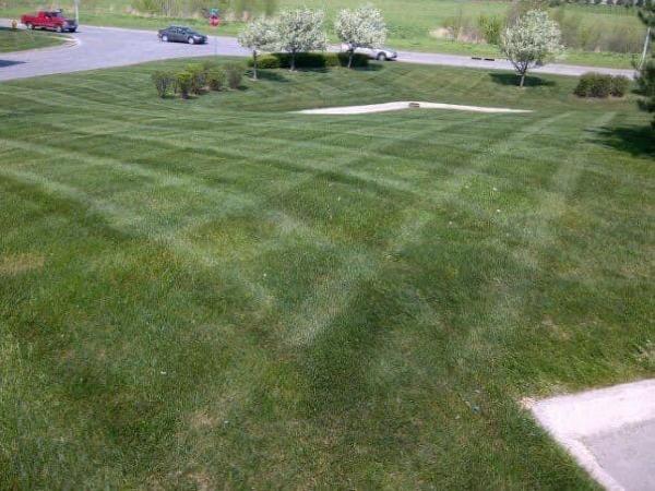 Iowa Lawn and Landscape LLC