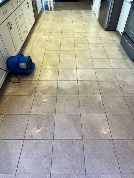 Carpet Cleaners Lewis Cleaners South
