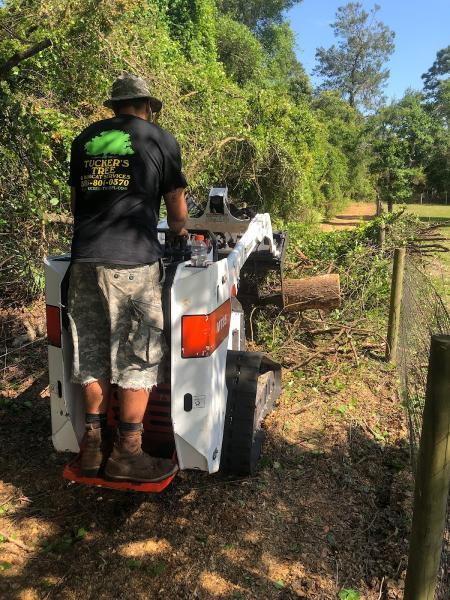Tucker's Tree & Bobcat Services
