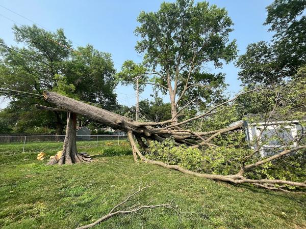 Tucker's Tree & Bobcat Services
