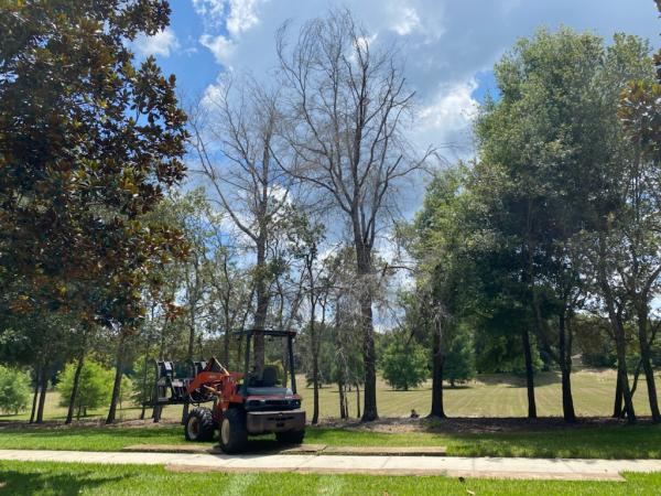 Tucker's Tree & Bobcat Services