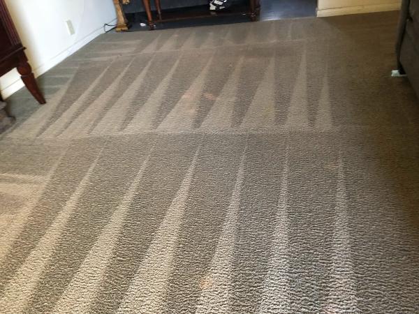 Bello Express Carpet Care