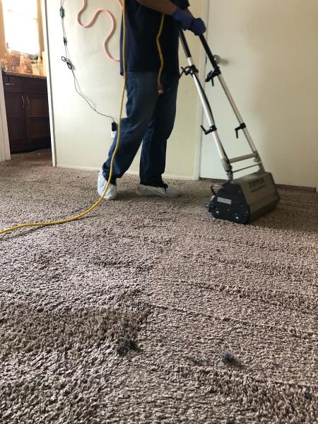 Bello Express Carpet Care