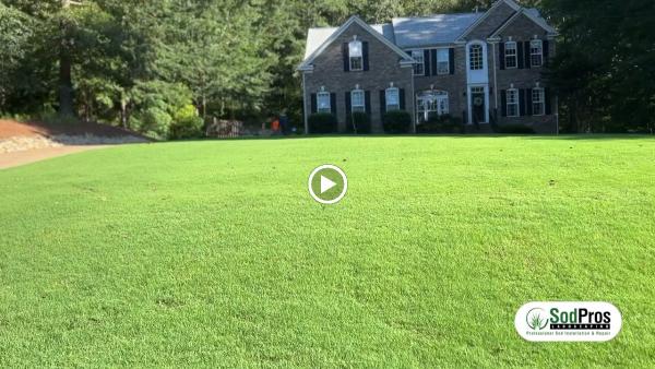 Sod Pros Landscaping