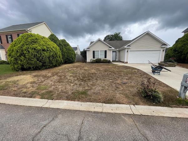 Sod Pros Landscaping