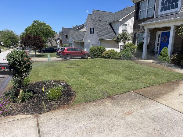 Sod Pros Landscaping