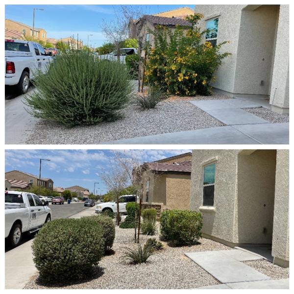 Sean's Yard Care