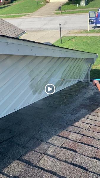 Service Bros. Carpet Cleaning & More