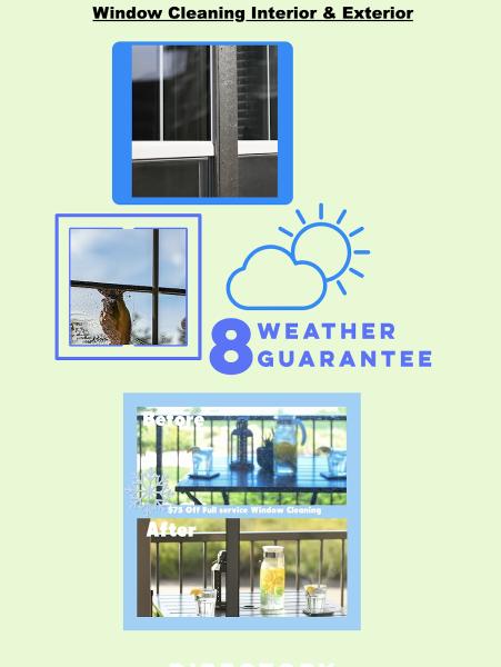 Surface Cleansing Solutions