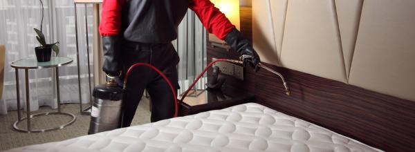 Bed Bug Exterminator Baltimore