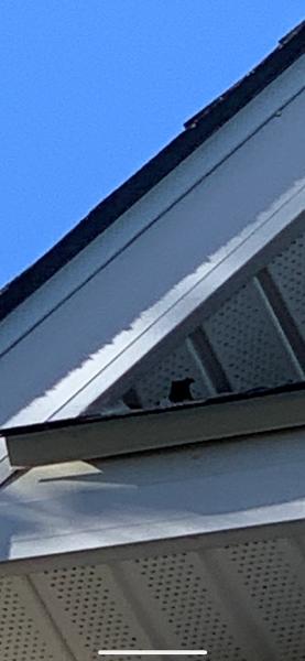 Banner Home Solutions