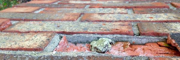 All Seasons Chimney Service