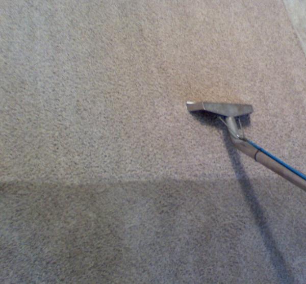 Raglands Carpet Cleaning