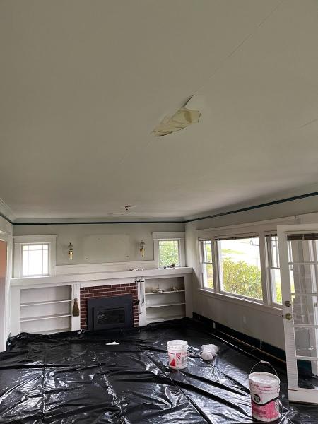 Ornamental Plaster Arts