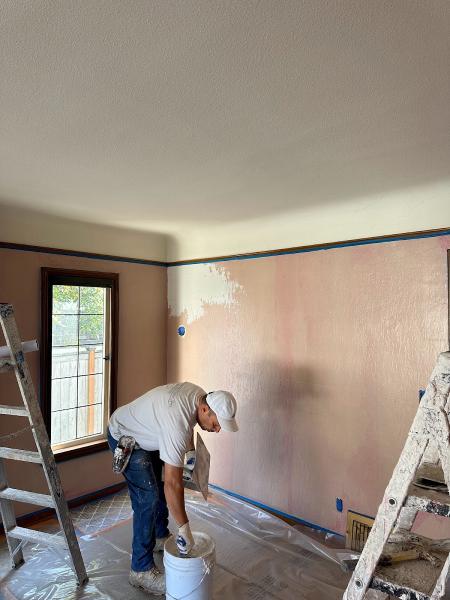 Ornamental Plaster Arts