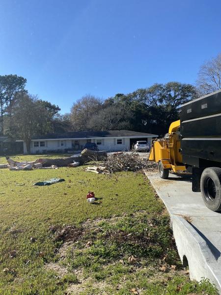 Super Cuts Tree Service