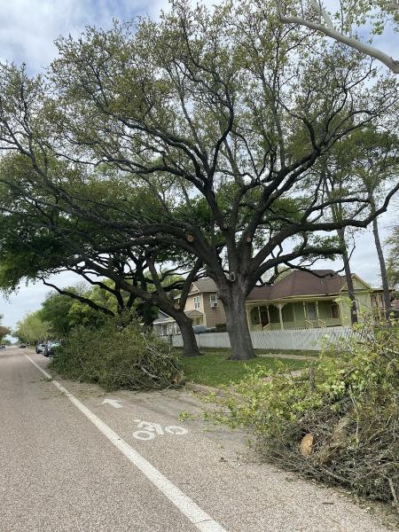 Super Cuts Tree Service