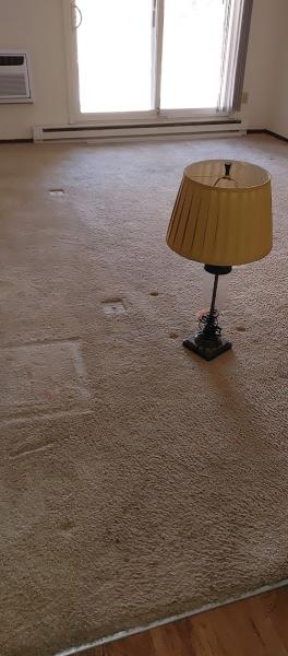 Less Mess Less Stress LLC
