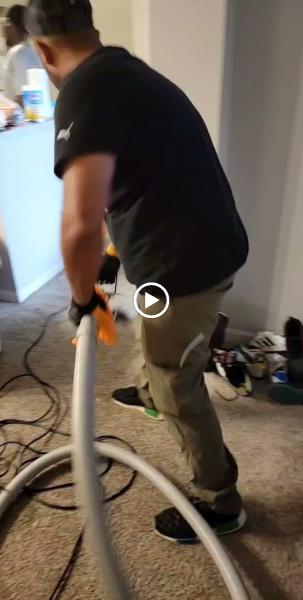 Clean King