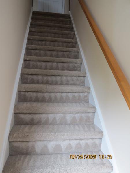 Steamy Stuart's Carpet Cleaning