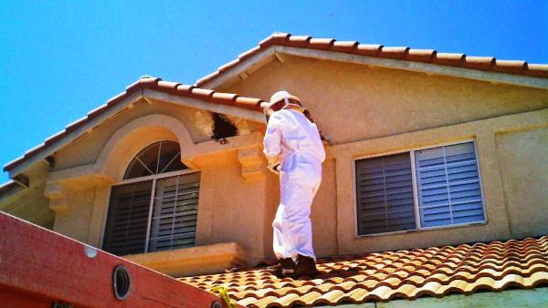 Freeman Termites & Pest Control