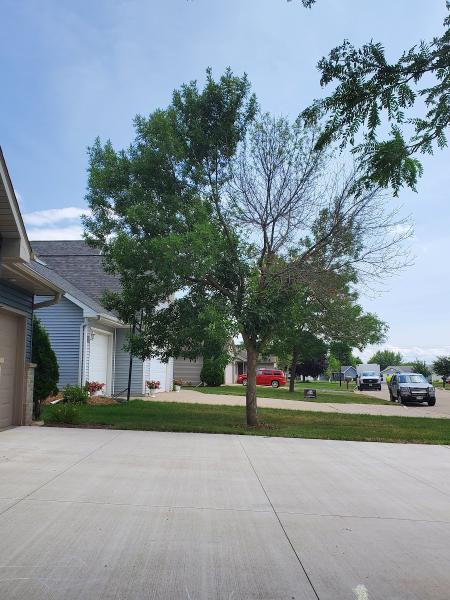Fox Valley Tree Care & Landscape