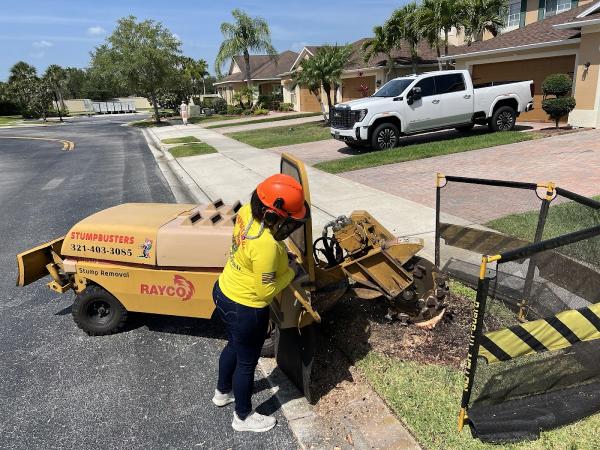 Stumpbusters Stump Removal