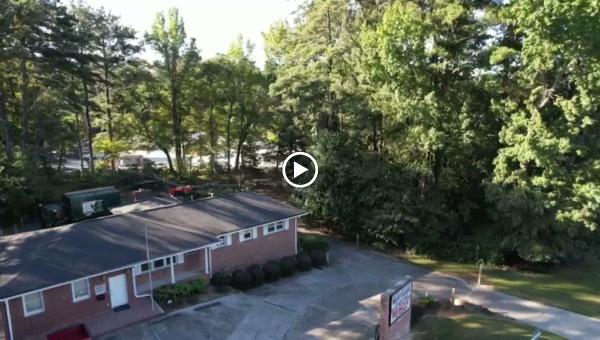 Tree Surgeon Atlanta