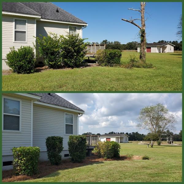 Mow-Mentum Lawn Care Services LLC