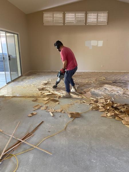 Total Floor Removal