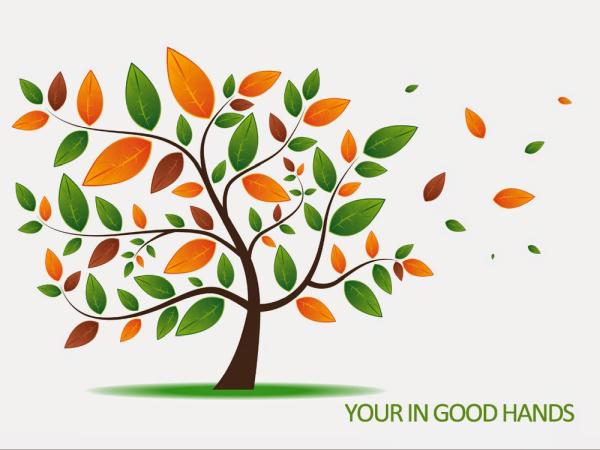 Tree Service Dallas