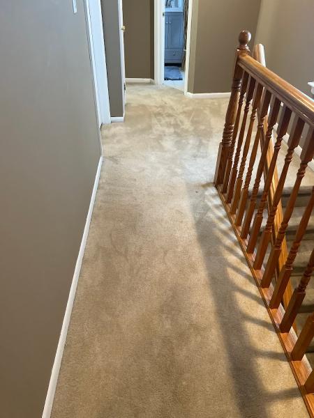 All Green Carpet & Upholstery Cleaning Services.