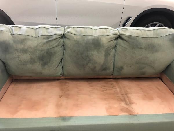 All Green Carpet & Upholstery Cleaning Services.