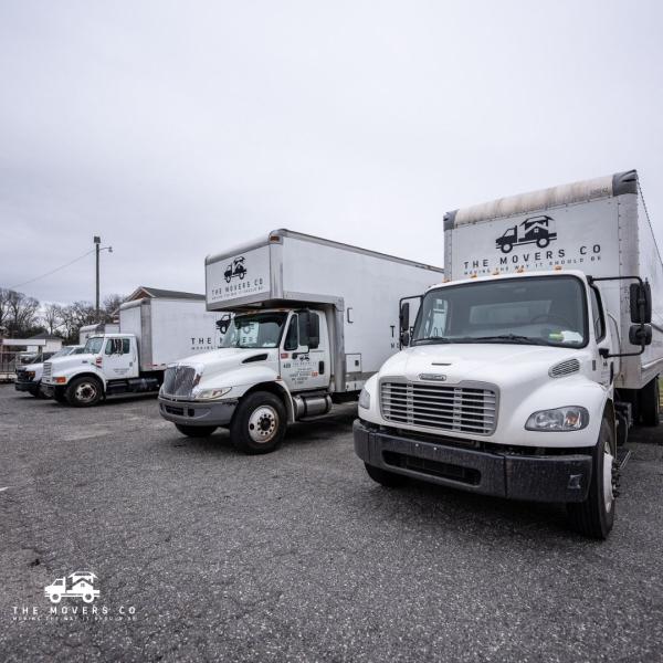 The Movers Co LLC