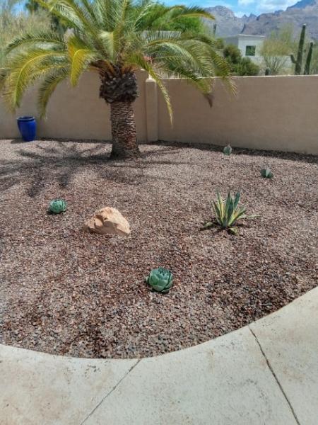 Sonoran Scapes Landscaping Inc.