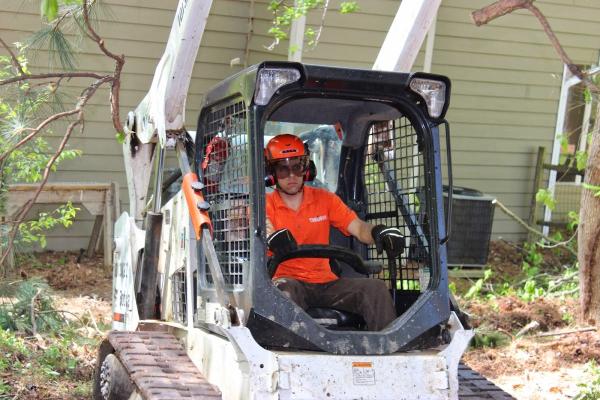 Kennesaw Tree Service Experts