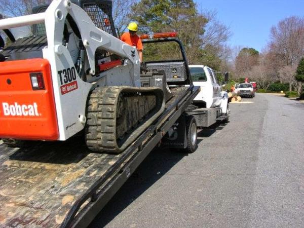 Kennesaw Tree Service Experts
